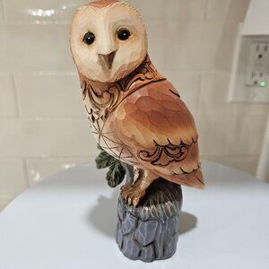 Woodland Wisdom Barn Owl